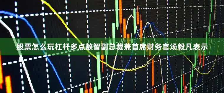 股票怎么玩杠杆多点数智副总裁兼首席财务官汤毅凡表示