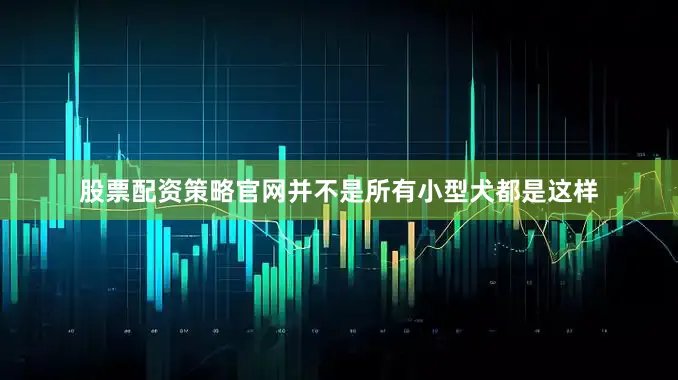 股票配资策略官网并不是所有小型犬都是这样