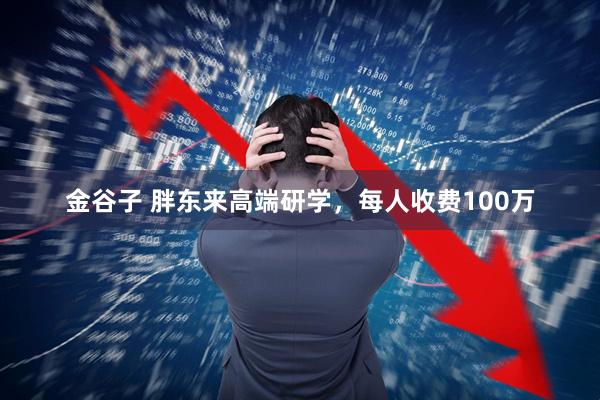 金谷子 胖东来高端研学，每人收费100万
