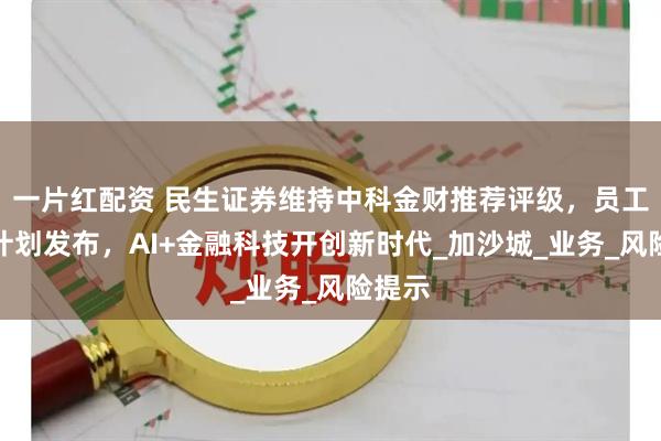 一片红配资 民生证券维持中科金财推荐评级，员工持股计划发布，AI+金融科技开创新时代_加沙城_业务_风险提示