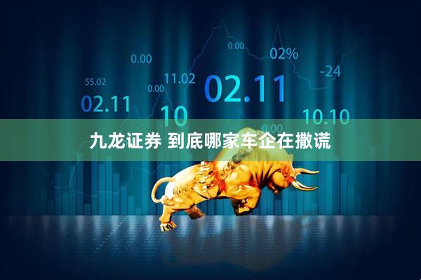 九龙证券 到底哪家车企在撒谎