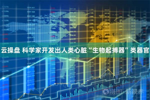 云操盘 科学家开发出人类心脏“生物起搏器”类器官