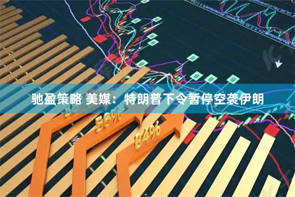 驰盈策略 美媒：特朗普下令暂停空袭伊朗